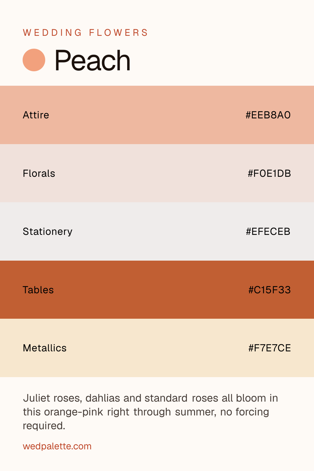 Peach wedding color palette pin with hex codes #EEB8A0 #F0E1DB #EFECEB #C15F33 #F7E7CE, Juliet roses, dahlias florals, champagne hardware, for summer garden parties